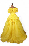 Cinderella Ball Gown _ Size 8/10 - Vintage Boutique