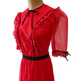 Vintage 70s Maxi Dress _ Size 6 - Vintage Boutique